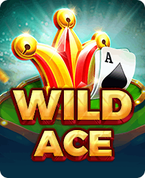 Wild Ace — play at ix7 game